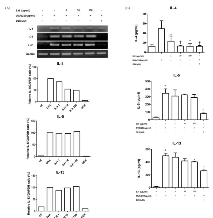 Fig.  6.  (A)  The  effect  of  S.H  on  mRNA  expression  of  Th2  cytokines  in  splenocytes  isolated  from  OVA-sensitized  mice