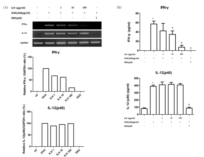Fig.  5.  (A)  The  effect  of  S.H  on  mRNA  expression  of  Th1  cytokines  in  splenocytes  isolated  from  OVA-sensitized  mice