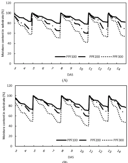 Fig. 3. Changes in moisture content of substrate in tomato scions (A) and rootstocks (B) grown under different light intensity conditions.