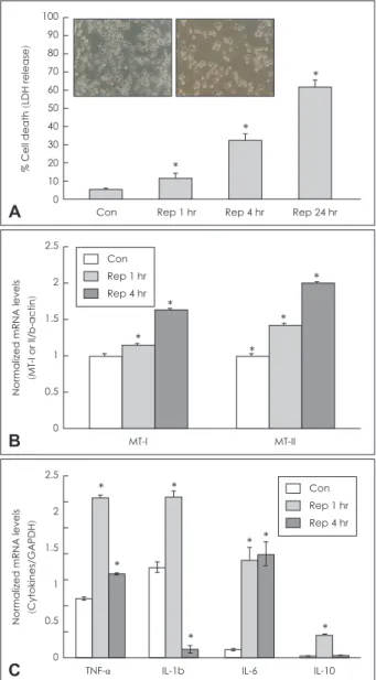 Figure 1. Cytotoxicity and MT expression by OGD-Rep in BV2 cells. 