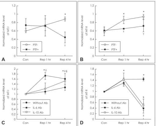 Figure 2. Effects of pentoxifylline on MT-I&amp;II induction in BV2 cells exposed to OGD+Rep