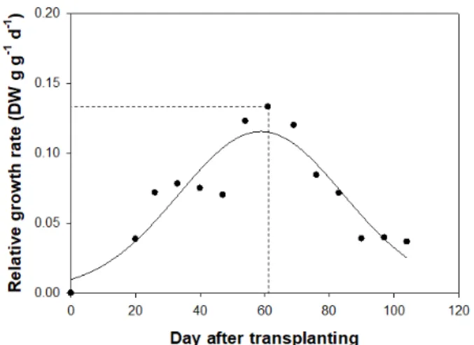 Fig. 1. Relative growth rate (RGR) of dry weight of Chrysanthemum