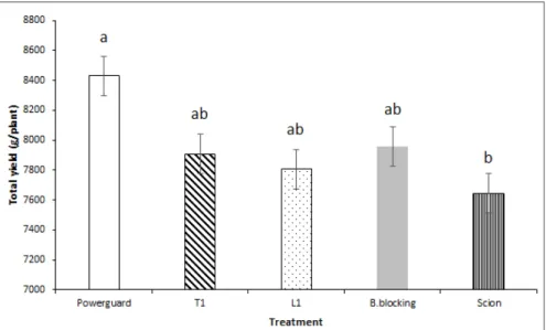 Fig. 1. Total fruit yield of non-grafted and grafted tomato plants. ‘Scion’ was used as non-grafted control, while 4 grafted tomato plants ‘Powerguard’, 