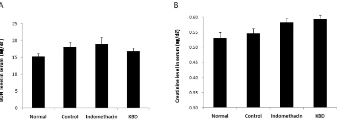 Fig.  4.  Effect  of  KBD  on  the  BUN  and  creatinine  in  MIA-induced  osteoarthritis  rats