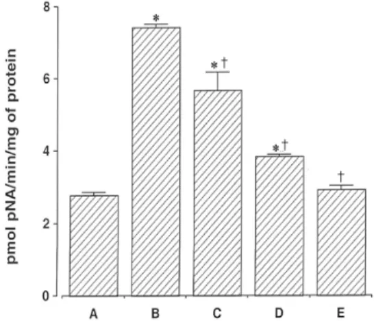 Fig.  6.  Inhibitory  effect  of  Clematidis  Radix  extract  on  CoCl 2 -induced  caspase-3  enzyme  activity.