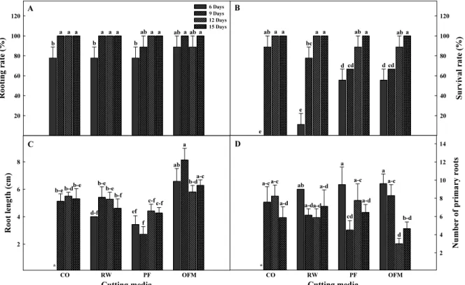 Fig. 5. The rooting rate (A), survival rate (B), root length (C), and number of primary roots (D) of ‘Maehyang’ strawberry cutting seedlings as affected  by  different  types  of  growing  media  and  misting  period  at  15  days  after  cutting  in  mist