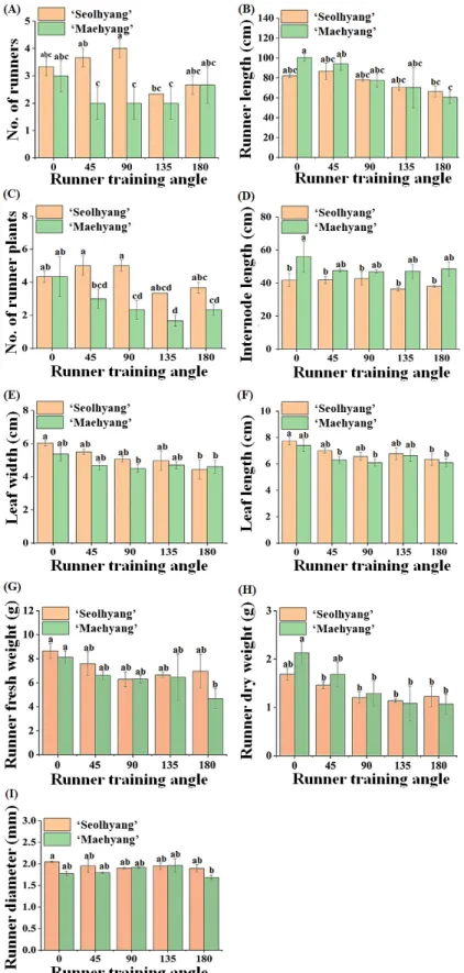 Fig. 2. Effect of the runner training angle (RTA) on growth and development of runners in ‘Seolhyang’ and ‘Maehyang’ strawberries, measured at 30  days after the RTA setup