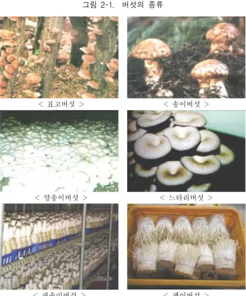 그림  2-1.    버섯의  종류    &lt;  표고버섯  &gt; &lt;  송이버섯  &gt;   &lt;  양송이버섯  &gt; &lt;  느타리버섯  &gt; &lt;  새송이버섯  &gt; &lt;  팽이버섯  &gt; 이  시설재배농가들이  겪고  있는  어려움이  바로  여기에  있다