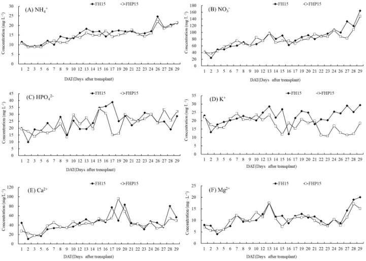 Fig. 6. Changes of ammonium nitrogen (NH 4 -N), nitrate nitrogen (NO 3 -N), phosphorus (HPO 4 ), potassium (K), calcium (Ca) and magnesium (Mg)  concentrations in the water of the experiment II with FH15 (15 fishes, filter, hydroball), FHP15 (15 fishes, fi