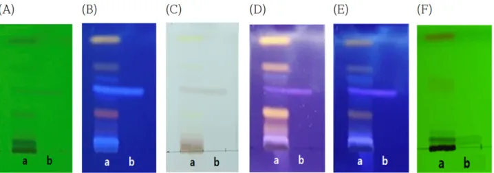 Fig. 1에 보인 methylene chloride와 methanol을 9:1의 비율로 전개하였을 경우 최적의 분리능으로 확인되어 항균성 물질 의  최적  전개  조건임을  확인하였다