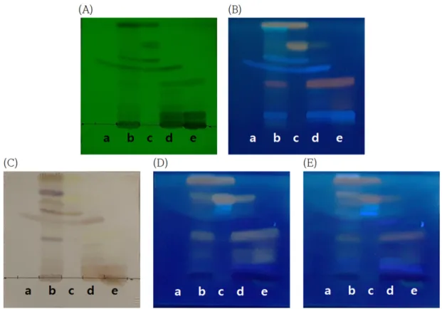 Fig. 3. TLC analysis of fraction number 1~7 by silica gel column chromatography using ethyl acetate layer of R