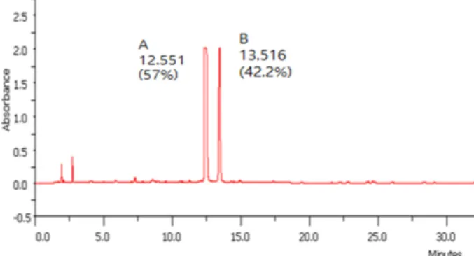 Fig. 6. Antibacterial activity of substances A and B collected by HPLC from R. palmatum L
