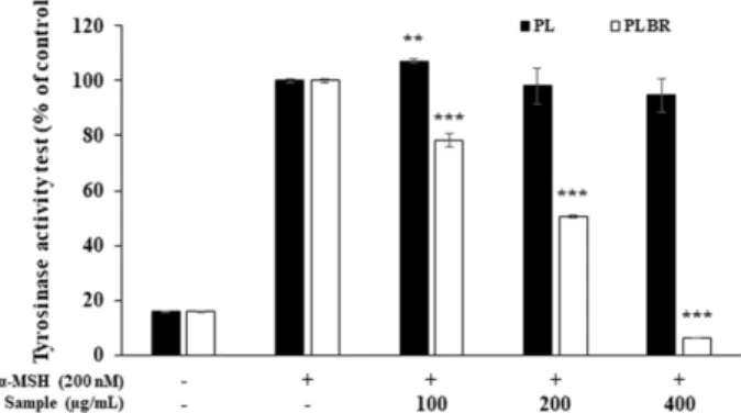 Fig. 5. Western blot analysis of the expression of MITF, TRP-1, TRP-2, tyrosinase in B16F10 melanoma cells