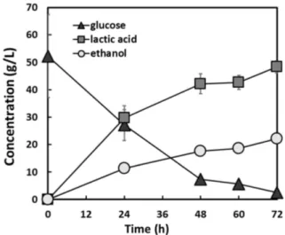 Fig. 2. Effect of solid loading on lactic acid production by simultaneous saccharification and fermentation of pretreated S.