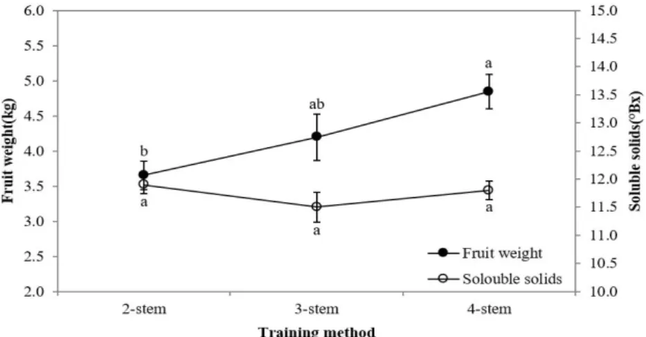 Table 5. Growth characteristics of ‘BlackRuby’ watermelon by position of fruit setting.
