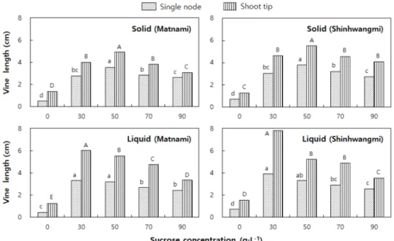 Fig. 1. Effect of explants and sucrose concentrations on in vitro vine length of virus-free sweet potato in solid (0.8% agar) or liquid medium