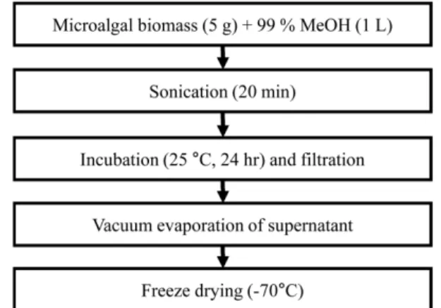 Fig. 1. Preparation of methanolic extract from the four freshwater microalgae.