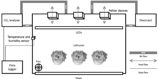 Fig. 1. Schematic diagram of a controlled growth chamber with Peltier devices for temperature control and a fan for wind speed control