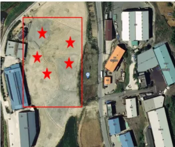 Fig. 2. Experimental site for growing sudangrass and sampling points  (red stars) for analysis of nutrient change.