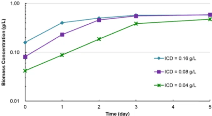 Fig. 4. Changes in Biomass Concentration in 100 L FP-PBRs with