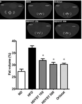 Fig.  15.  Effect  of  HDYST  on  fat  mass  in  high  fat  diet-fed  mice. 
