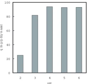 Fig. 1. Effect of initial pH on the lead(II) biosorption by Z. ramigera 115SLR. (Co = 100 mg/L, Temp