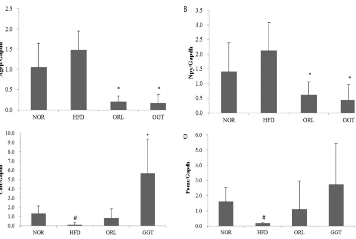 Fig.  5.  Expression  on  neuropeptides  in  the  hypothalamus.  In  the  hypothalamus,  GGT  group  have  recduced  Agrp  (A)  and  Npy  (B)  mRNA  expression  level  and  increased  Cart  (C)  and  Pomc  (D)