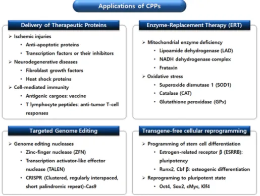 Fig. 3. CPP-driven protein delivery: Applications.