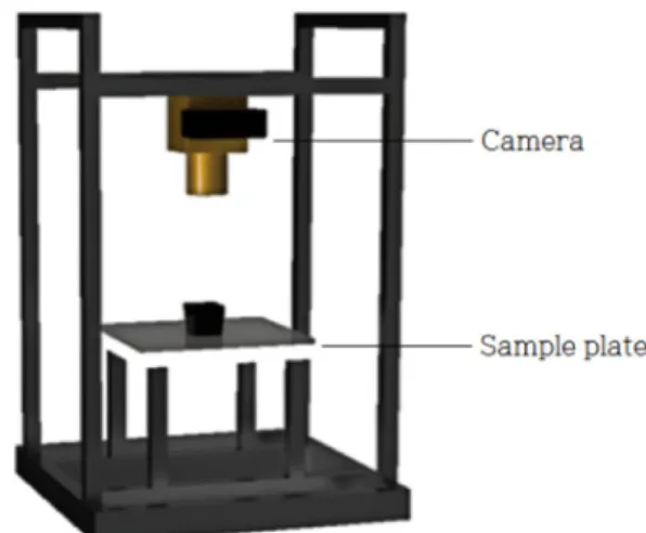 Fig. 1. A schematic representation for acquiring three-dimen- three-dimen-sional image used in this study.