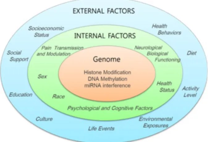 Fig.  1.  Interactions between environment and genome functioning.