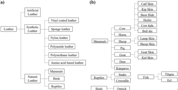 Fig. 2. (a) Types of leather and (b) classification of animal skins. Synthetic leather and artificial leather are non-animal leather