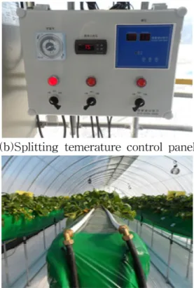 Fig. 3. Crown heating system installation of high-bed strawberry