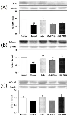 Fig.  8.  Effects  of  JBJHT  on  inflammatory  proteins  expression  on  cartilage  tissue