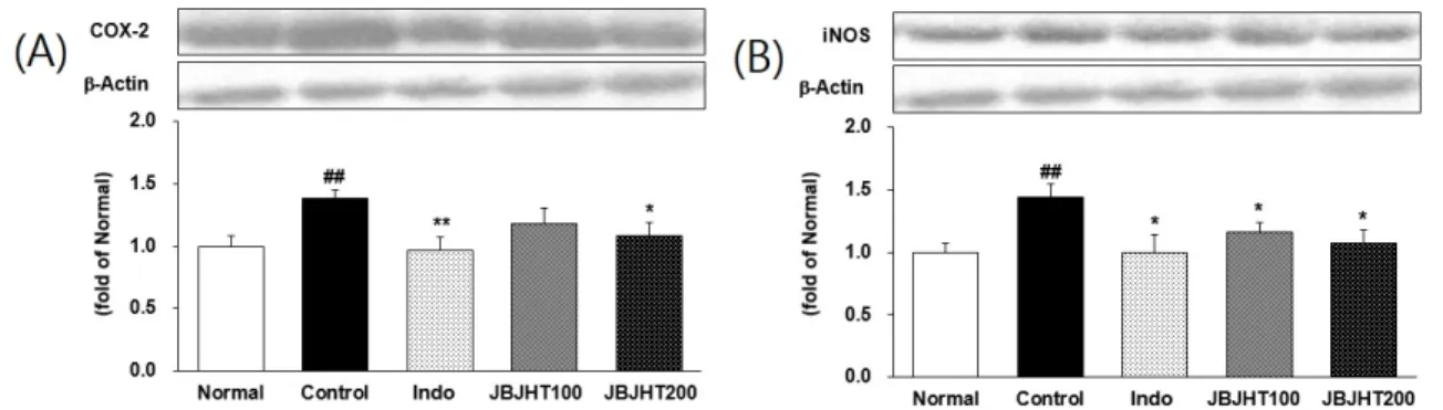 Fig. 9.  Effects  of  JBJHT  on  inflammatory  mediators  expression  on  cartilage  tissue