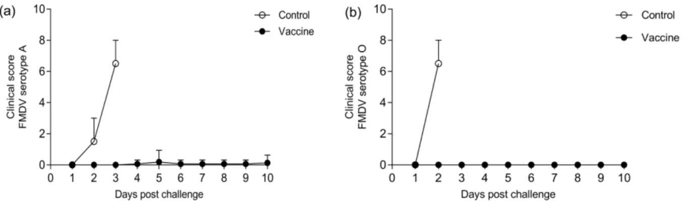 Fig. 8. Clinical scoring post challenge with FMDV virulent two serotypes.