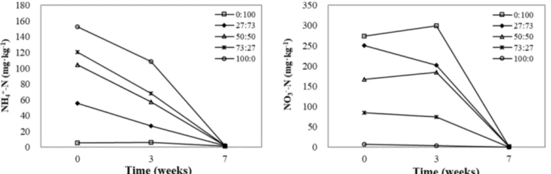Fig. 5. Changes in the macro-element concentrations of root media during the cultivation of hot pepper plug seedlings as influenced by various NH 4 + :NO 3 -  ratios of nitrogen incorporated as pre-planting nutrient charge fertilizer in the mixture of coir
