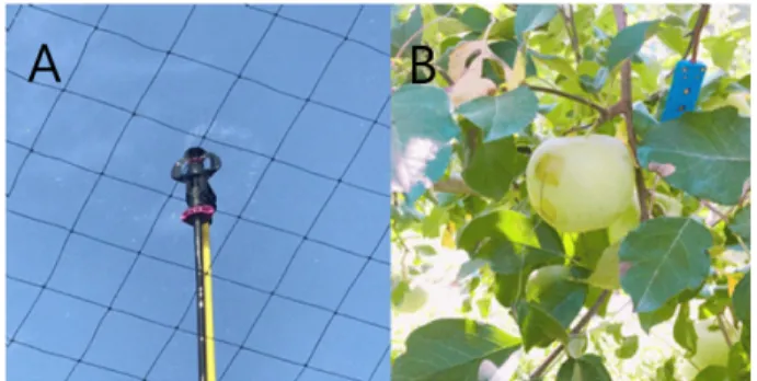 Fig. 2. Wind net installed in the experiment.