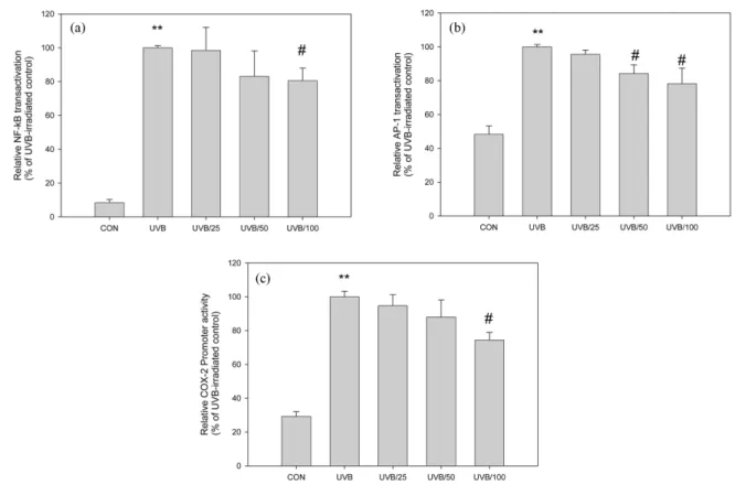 Fig. 5.  In Vitro NF-κB Inhibitory effect (a), AP-1 Inhibitory effect (b), COX-2 Inhibitory effect (c) induced by UVB light and treated with Prunus mume extract