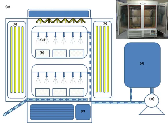 Fig. 1. Schematic diagram of plant growth chamber used in this study. (a) growth chamber, (b) light source, (c) control panel, (d) water tank, (e) pump, (f) drain, (g) water spray, (h) wheat sprout