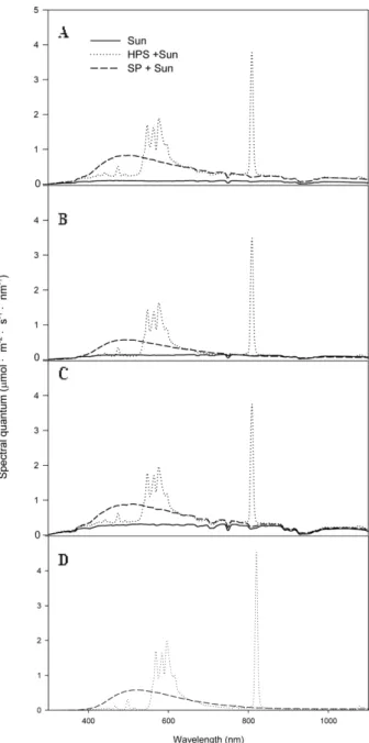 Fig. 3. Spectral quantum distributions of sunlight (Sun, 11:00 on 2 March, 2016), high-pressure sodium lamp (HPS), and sulfur plasma lamp (SP) used in the growth chamber.