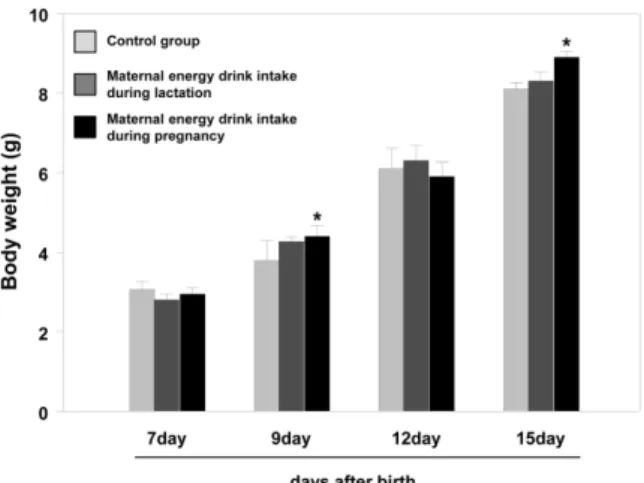 Fig. 4. Effect of energy drinks on the body weight in neonatal mice.