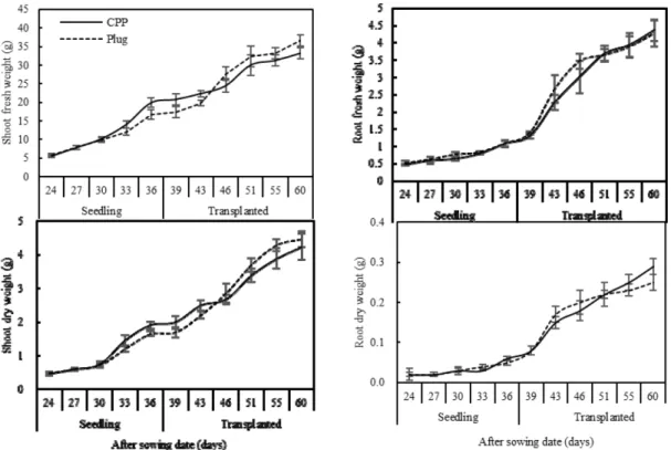 Fig. 5. Comparison of variation trend of shoot fresh weight, root fresh weight, shoot dry weight and root dry weight of water melon seed- seed-ling between cylindrical paper pot trays(CPP) and plug trays(Plug) during seedseed-ling period