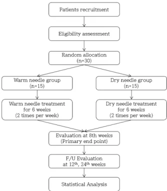 Fig.  1.  Flow  chart  of  the  trial.  Flowchart  showing  the  steps  in participant  recruitment,  treatment,  and  analysis