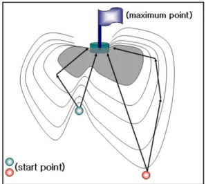 Fig. 2. Central composite design (CCD) for statistical medium optimization through response surface method (RSM).