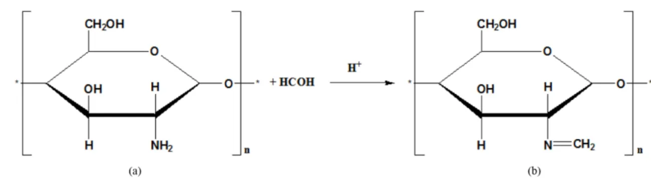 Fig. 2. System diagram for evaluating the performance of chitosan- chitosan-gel sheet.