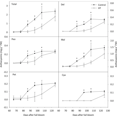 Fig. 4. Changes in anthocyanidin contents in ‘Heukboseok’ grape berry skins under control and high temperature (HT) conditions