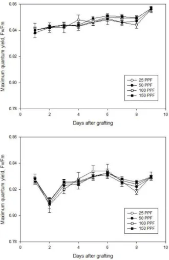 Fig. 2. Variable fluorescence(Fv) of grafted cucumber seedlings healed under LED lamps with different light intensity (top:  root-stock, bottom: scion)