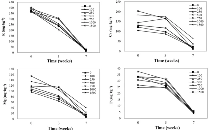 Fig. 4. Changes in the macro-element concentrations of root media during the raising of hot pepper plug seedlings as influenced by vari- vari-ous amounts of nitrogen (mg·L -1 ) incorporated as pre-planting fertilizer into the mixed medium of coir dust, pea