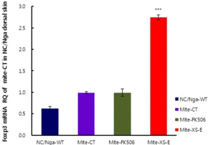 Fig. 4. Effects of XS-E treatment on Foxp3 +  mRNA expression in dorsal skin tissue in atopic dermatitis-like NC/Nga mice induced by Mite extract.