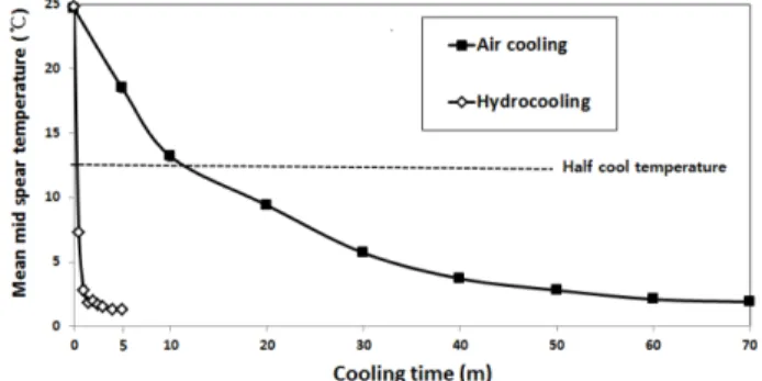 Fig. 1. The change of temperature of asparagus spears treated with air cooling or hydrocooling